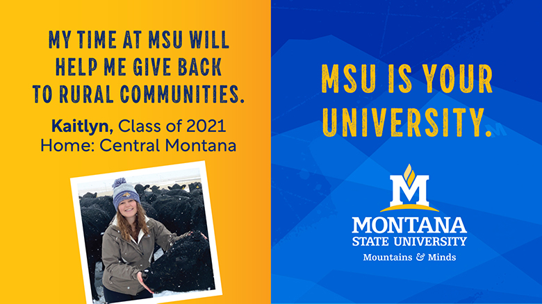 Montana Recruitment - University Communications | Montana State University